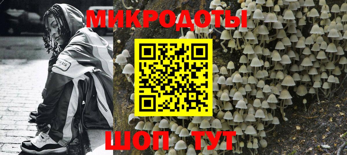 Псилоцибиновые грибы GOLDEN TEACHER  Вход с VPN  Екатеринбург 
